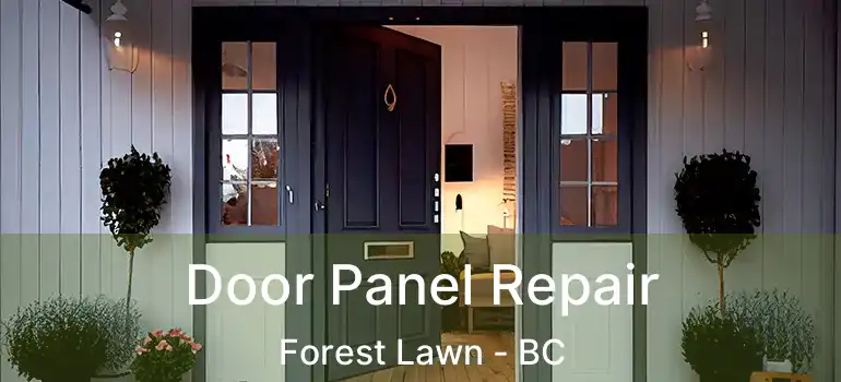 Door Panel Repair Forest Lawn - BC