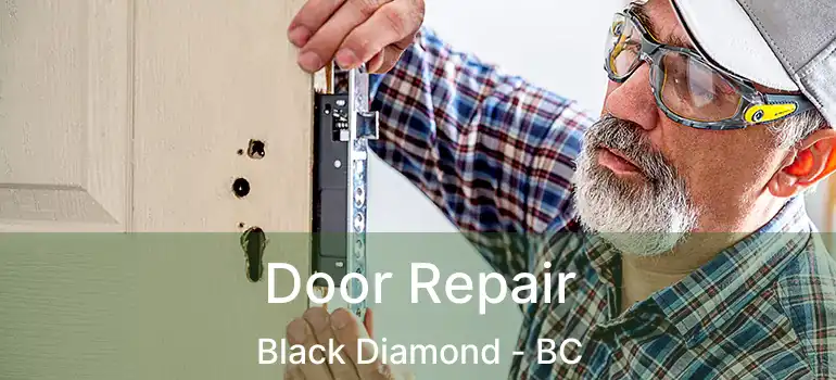 Door Repair Black Diamond - BC