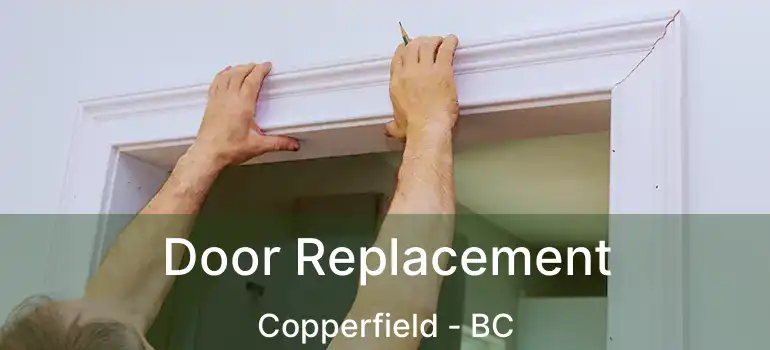Door Replacement Copperfield - BC