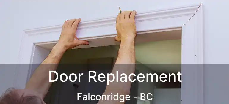 Door Replacement Falconridge - BC