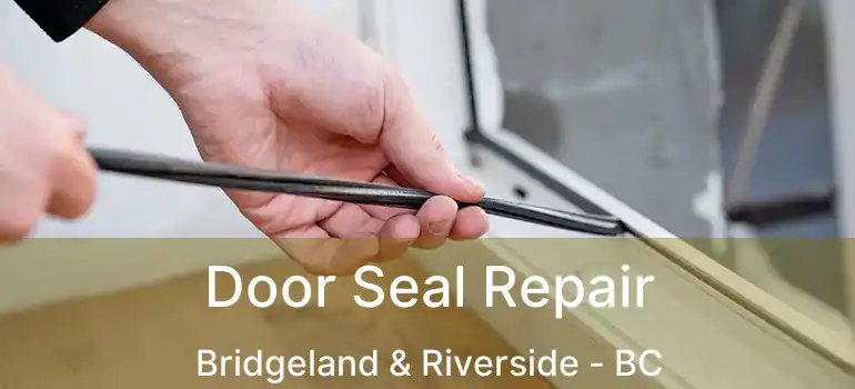 Door Seal Repair Bridgeland & Riverside - BC