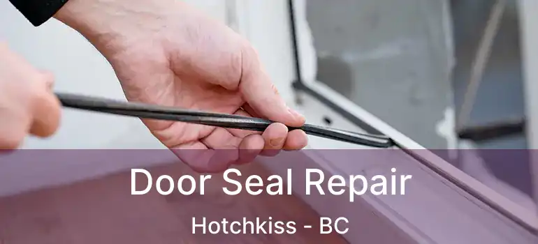 Door Seal Repair Hotchkiss - BC