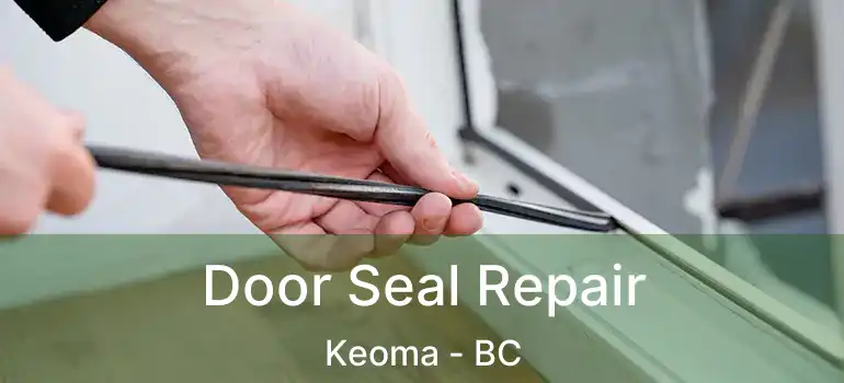 Door Seal Repair Keoma - BC