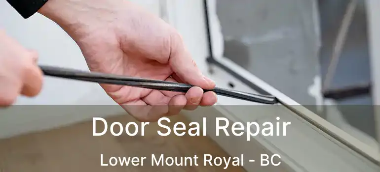 Door Seal Repair Lower Mount Royal - BC