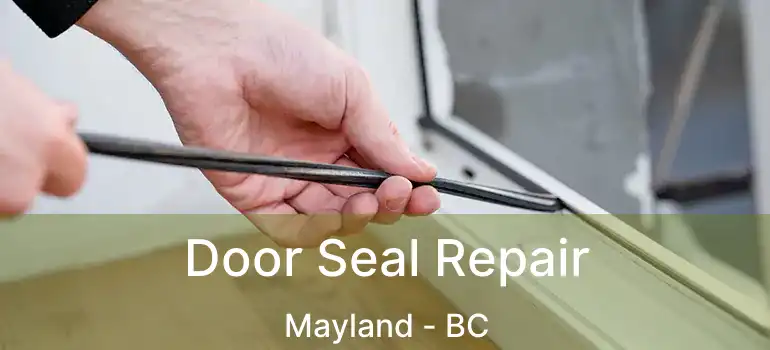 Door Seal Repair Mayland - BC