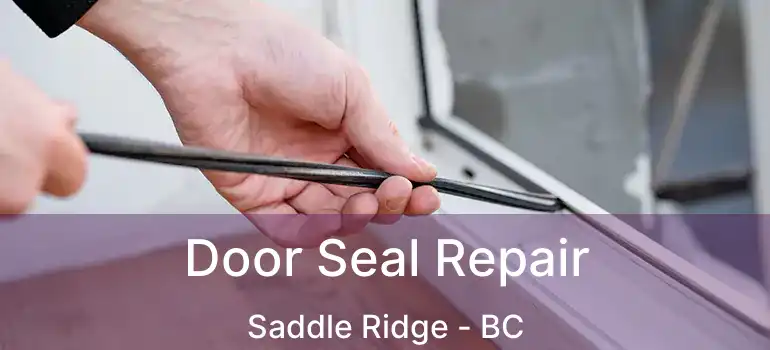 Door Seal Repair Saddle Ridge - BC