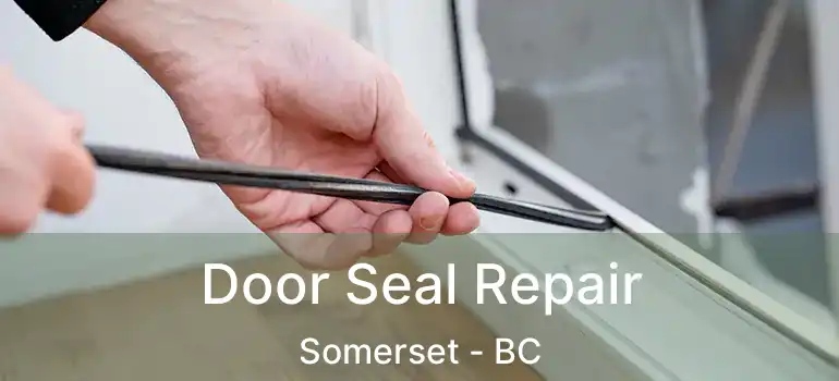 Door Seal Repair Somerset - BC