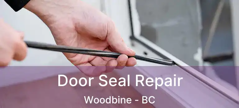 Door Seal Repair Woodbine - BC