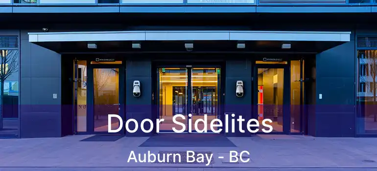 Door Sidelites Auburn Bay - BC