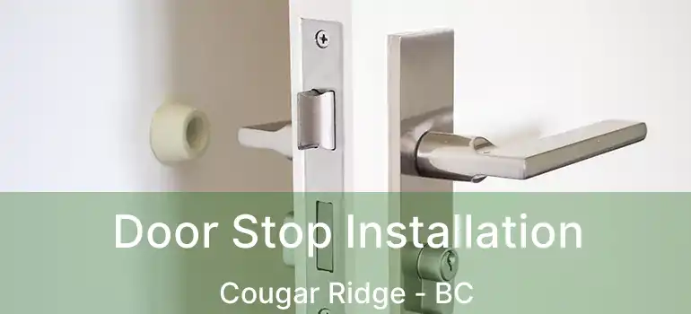 Door Stop Installation Cougar Ridge - BC