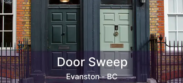 Door Sweep Evanston - BC