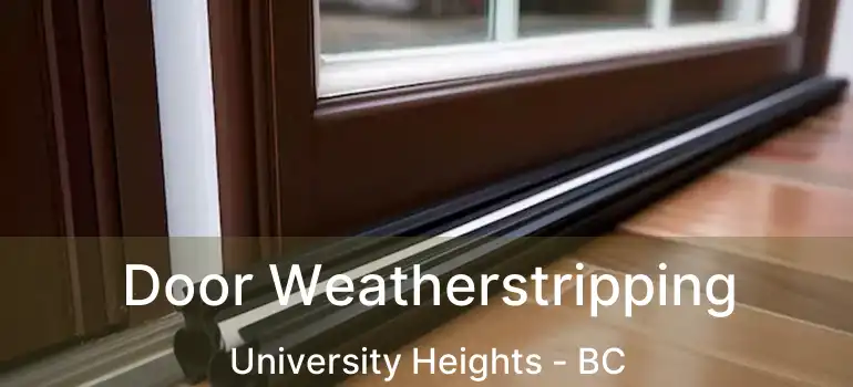 Door Weatherstripping University Heights - BC