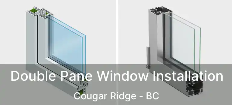 Double Pane Window Installation Cougar Ridge - BC