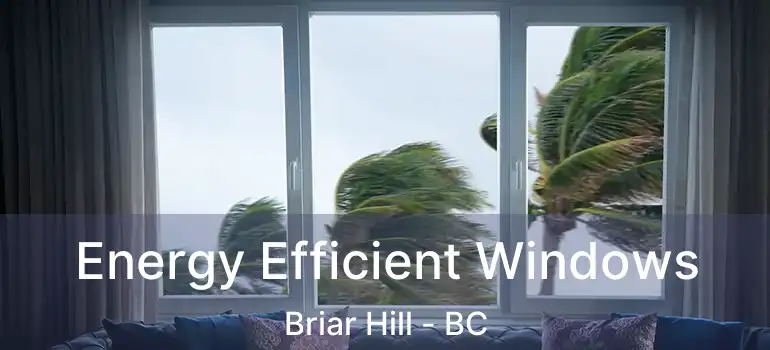 Energy Efficient Windows Briar Hill - BC