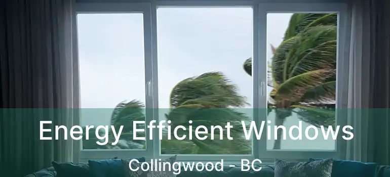 Energy Efficient Windows Collingwood - BC