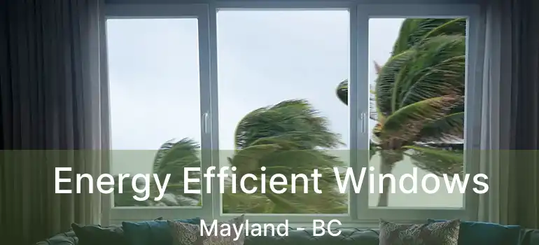Energy Efficient Windows Mayland - BC