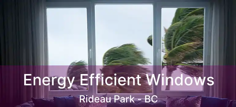 Energy Efficient Windows Rideau Park - BC