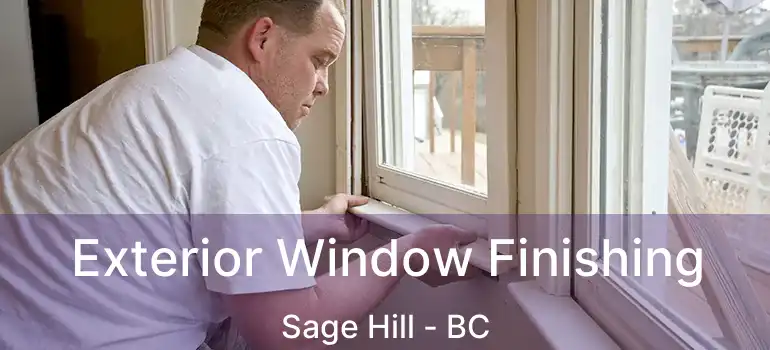 Exterior Window Finishing Sage Hill - BC