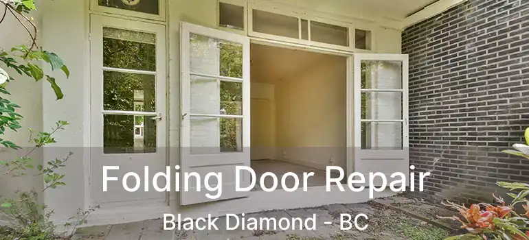 Folding Door Repair Black Diamond - BC