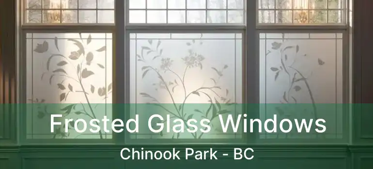 Frosted Glass Windows Chinook Park - BC