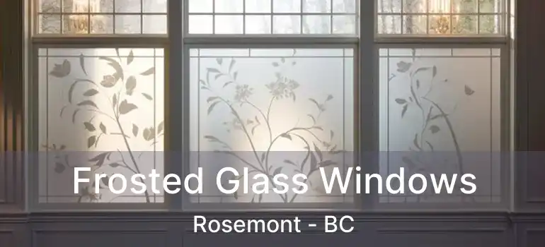 Frosted Glass Windows Rosemont - BC