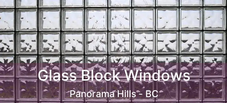 Glass Block Windows Panorama Hills - BC