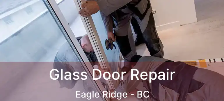 Glass Door Repair Eagle Ridge - BC