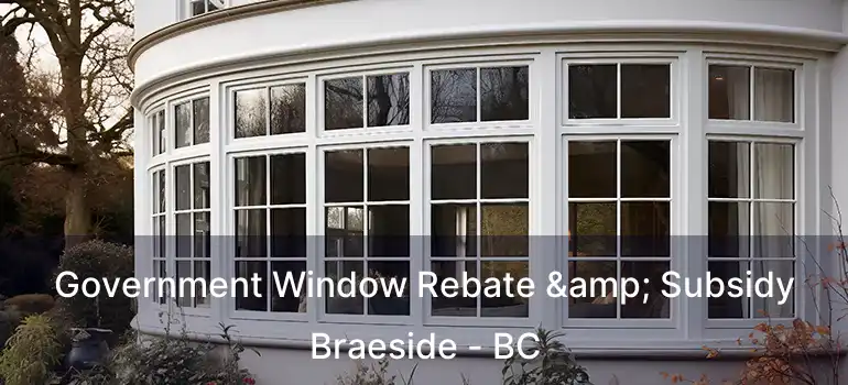 Government Window Rebate & Subsidy Braeside - BC