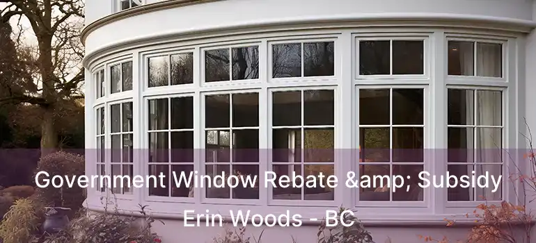 Government Window Rebate & Subsidy Erin Woods - BC
