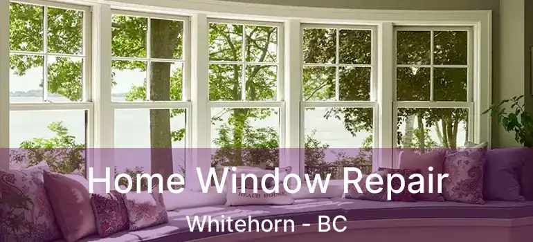 Home Window Repair Whitehorn - BC