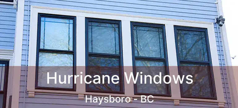 Hurricane Windows Haysboro - BC