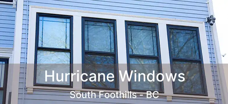 Hurricane Windows South Foothills - BC