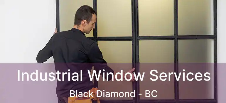 Industrial Window Services Black Diamond - BC