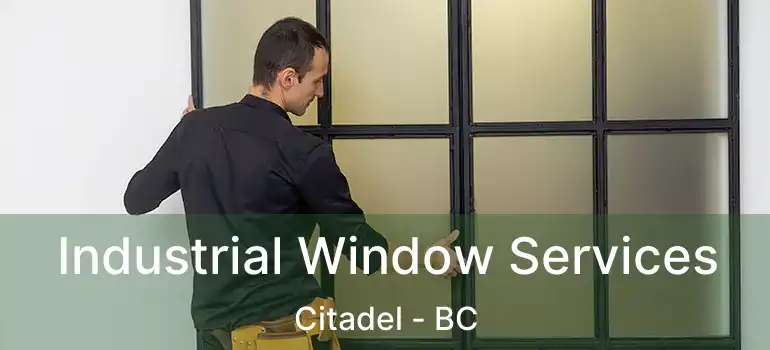 Industrial Window Services Citadel - BC
