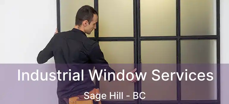 Industrial Window Services Sage Hill - BC