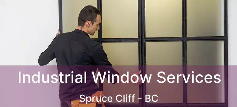 Industrial Window Services Spruce Cliff - BC