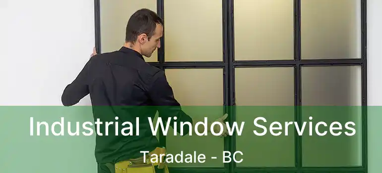 Industrial Window Services Taradale - BC