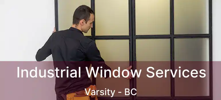 Industrial Window Services Varsity - BC