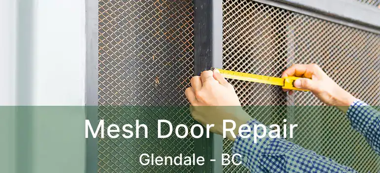 Mesh Door Repair Glendale - BC