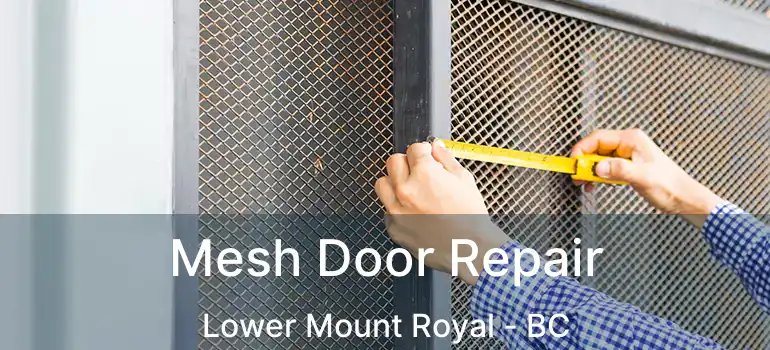 Mesh Door Repair Lower Mount Royal - BC