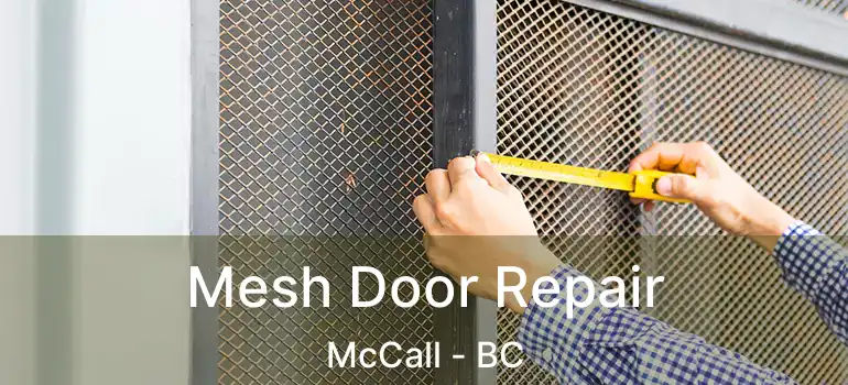 Mesh Door Repair McCall - BC
