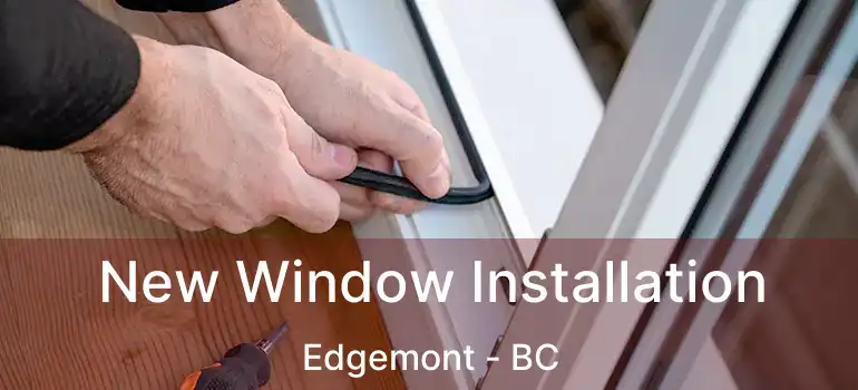 New Window Installation Edgemont - BC