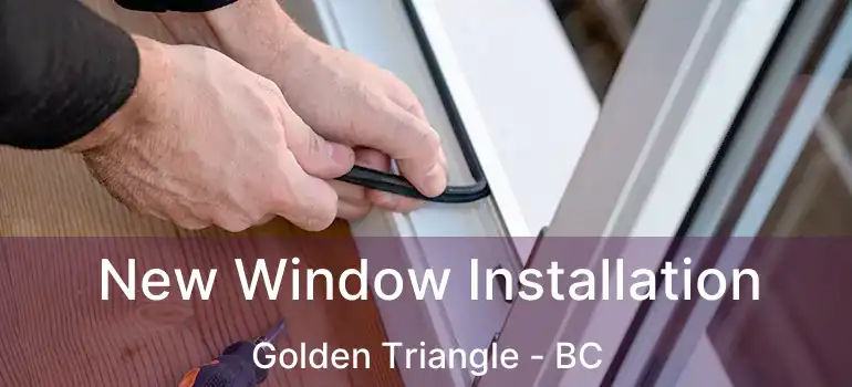 New Window Installation Golden Triangle - BC