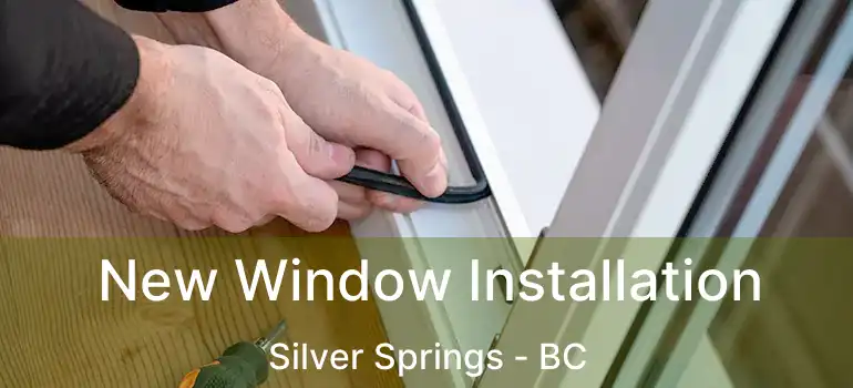 New Window Installation Silver Springs - BC