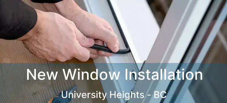 New Window Installation University Heights - BC