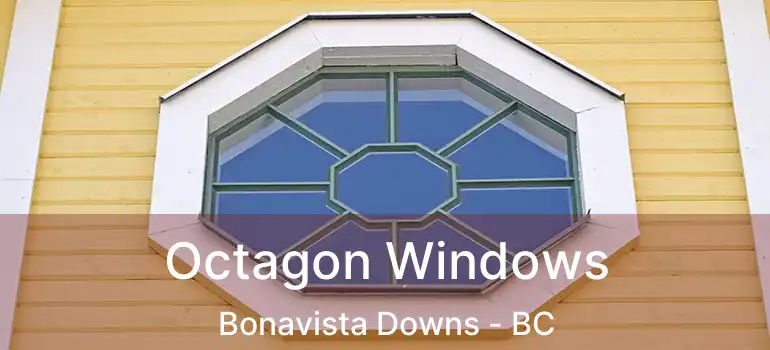Octagon Windows Bonavista Downs - BC