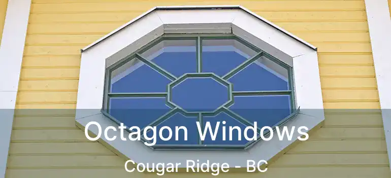 Octagon Windows Cougar Ridge - BC