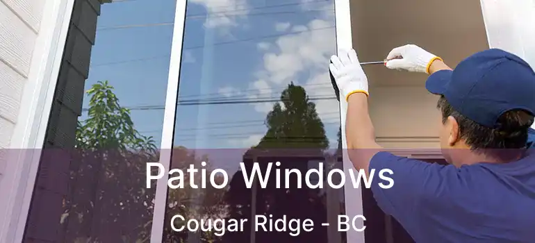 Patio Windows Cougar Ridge - BC