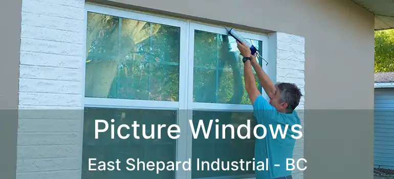 Picture Windows East Shepard Industrial - BC