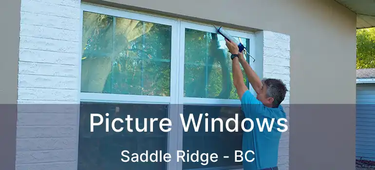 Picture Windows Saddle Ridge - BC